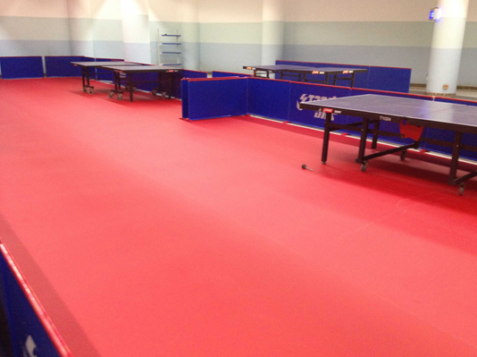 球皮紋運動PVC地板