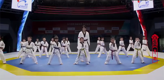 跆拳道專用地墊 跆拳道專用地墊