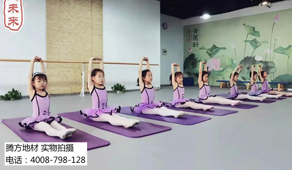 幼兒舞蹈培訓(xùn) 幼兒舞蹈培訓(xùn)