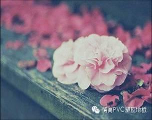 母親節悄悄注進無錫騰方PVC地板之家