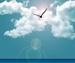 騰方PVC地板，新的市場新的努力