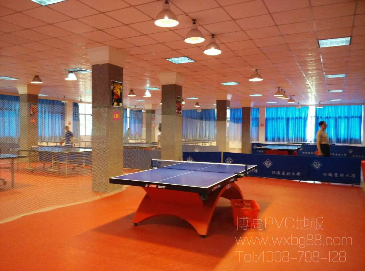 【湖北】同濟醫學院乒乓俱樂部地膠