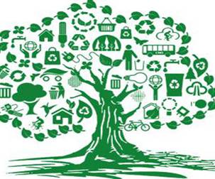 騰方環保PVC地板，做大自然的搬運工