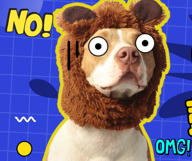 PVC塑膠地板鼓包,常見(jiàn)原因有哪些?