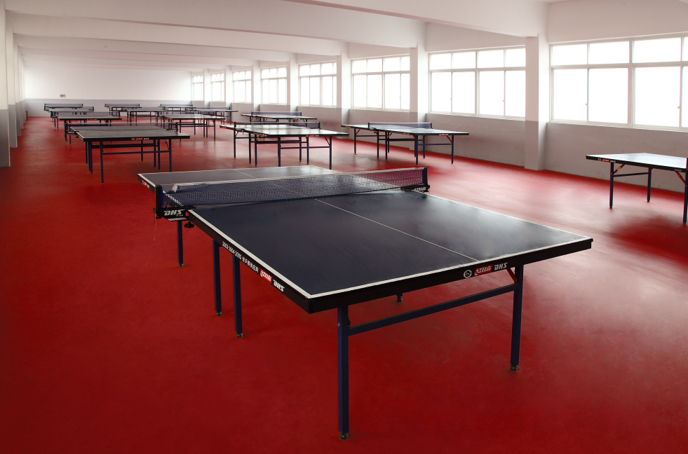 專業賽事型乒乓地膠【騰方PVC地板】