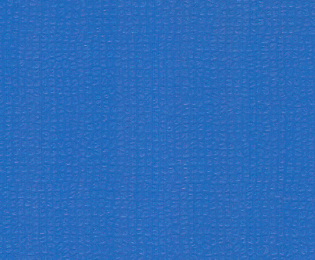 專業(yè)舞蹈地板 5.0mm